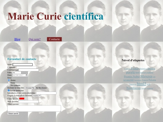 pagines/contacte screenshot
