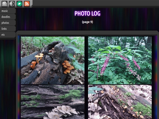 photos/9 screenshot