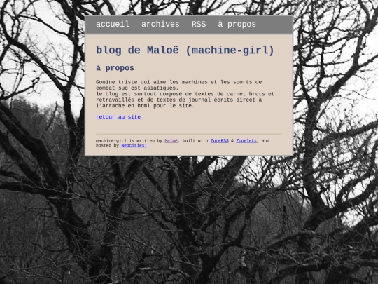 blog/about screenshot
