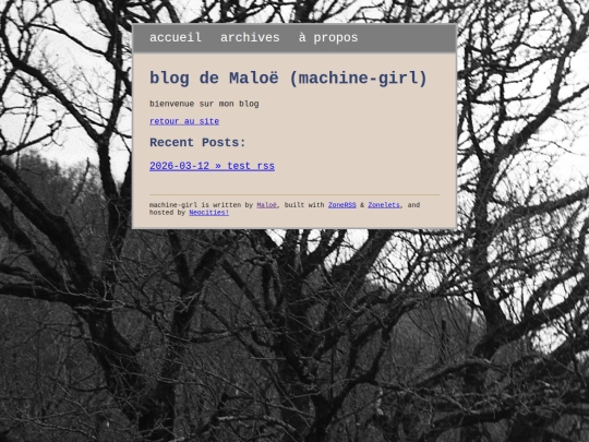 blog screenshot