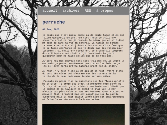 blog/posts/2026-06-01-perruche screenshot