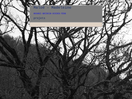 projets screenshot