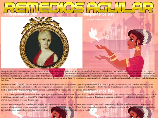 protecto4/pagina7 screenshot