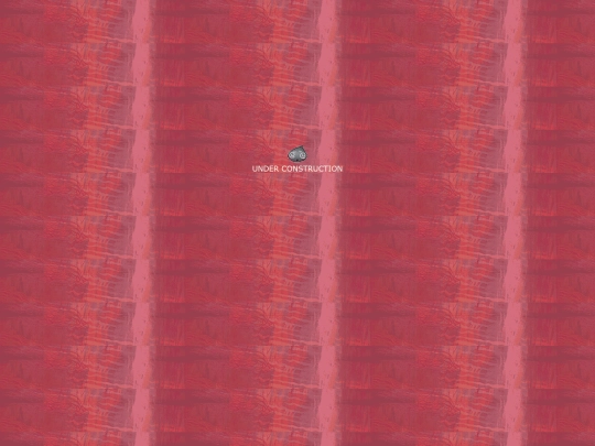 ether/scans screenshot