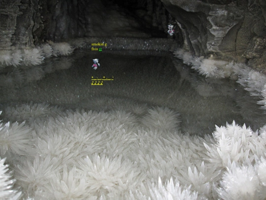 frossbitee screenshot