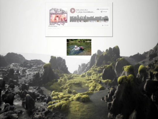 windowwillow screenshot
