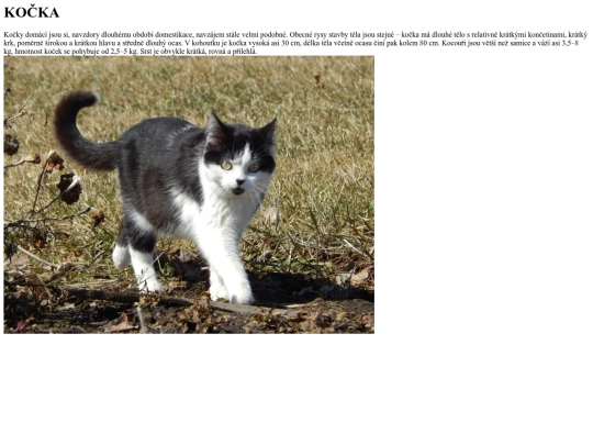 kocka screenshot