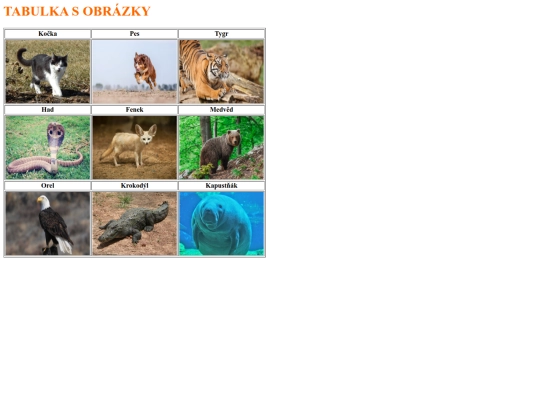 obrazky screenshot
