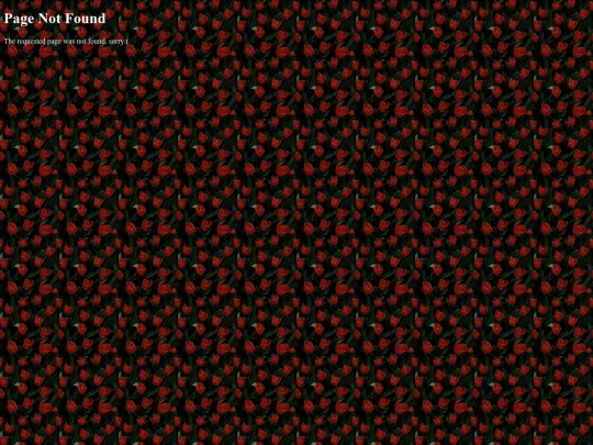 not_found screenshot
