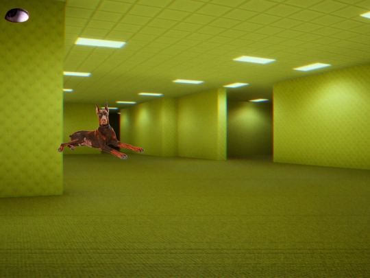 secret screenshot