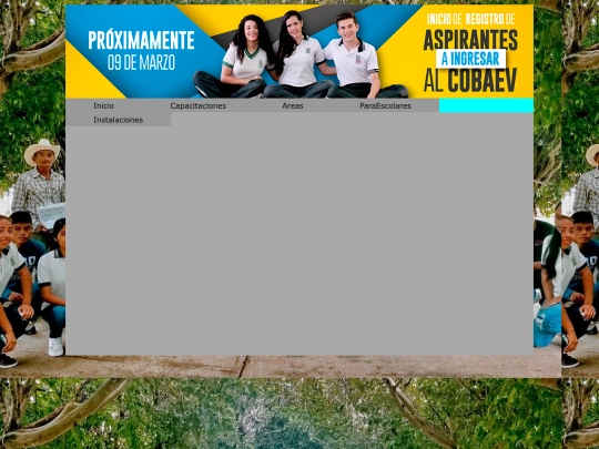 Proyecto screenshot