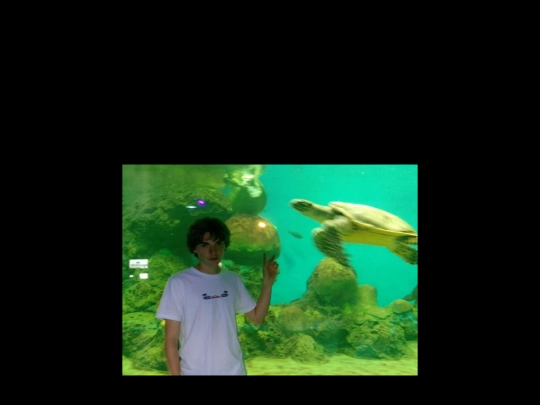 creator screenshot