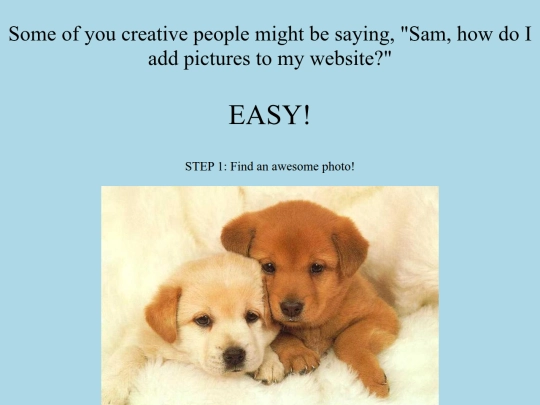 photos screenshot