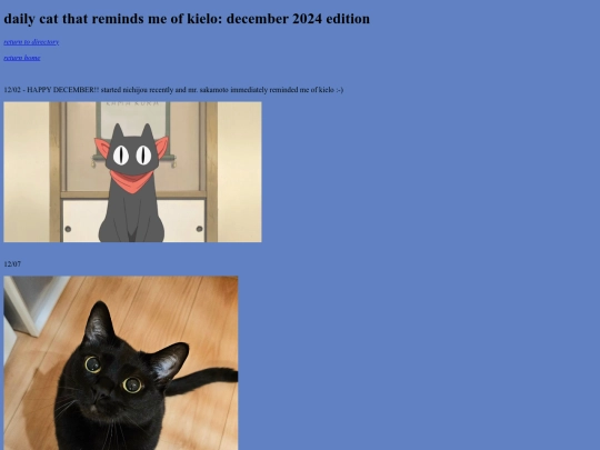 december-2024-cats screenshot