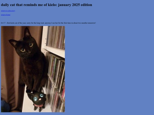january-2025-cats screenshot