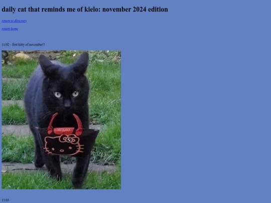 november-2024-cats screenshot