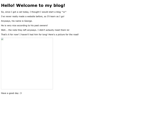 blog1 screenshot