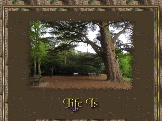 1/Ex_11/life screenshot