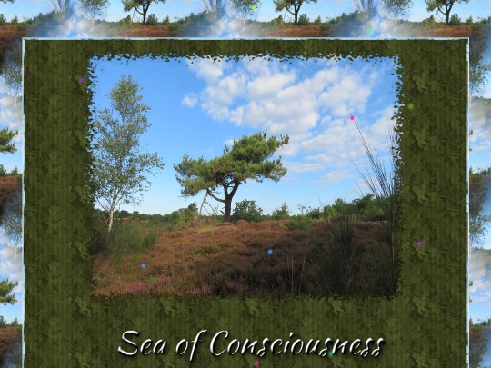 1/Ex_11/sea screenshot