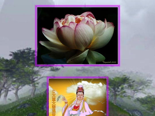 Compassion/Page 2/bladzij 2 screenshot