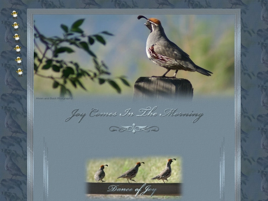 Extra_4/Divine_Qualities/Page_21/gratitude screenshot