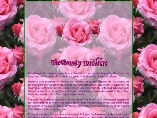Extra_4/Roses screenshot
