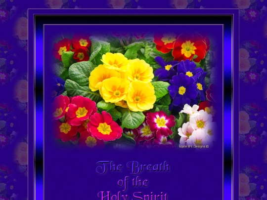 Extra_5/Holy_Breath screenshot