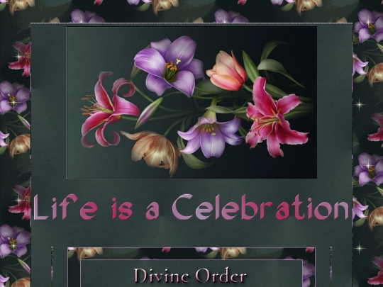 Extra_6/Order screenshot