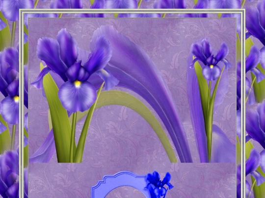 Extra_7/Beauty screenshot