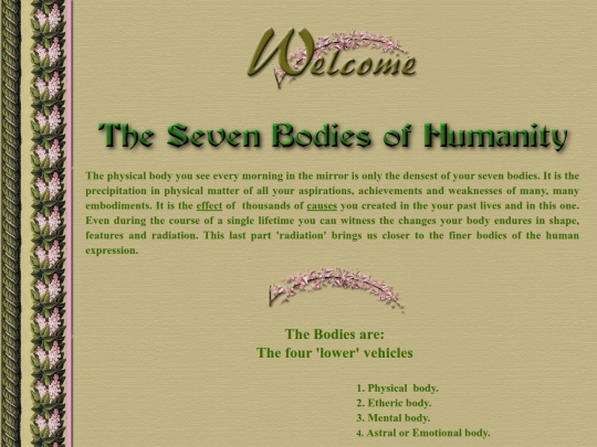 Seven Bodies/Zeven lichamen screenshot