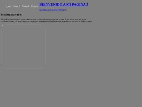 pagina3 screenshot