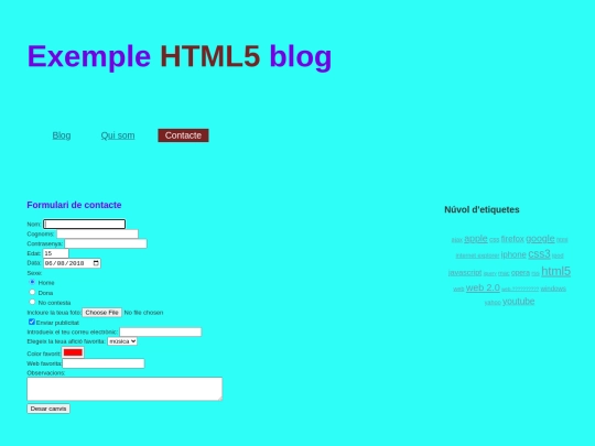 pagines/contacte screenshot