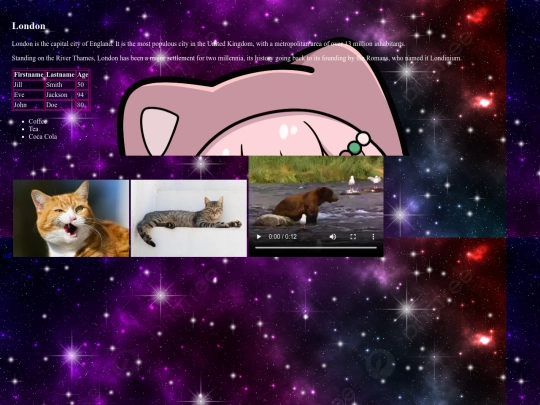 D1/css screenshot