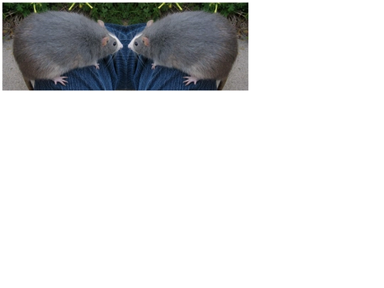 couple screenshot