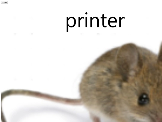 printer screenshot