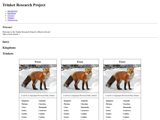 projects/trinkets screenshot