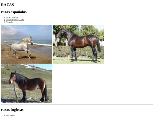 caballos/razasdecaballo screenshot