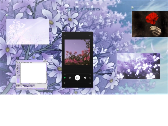 folder_p6/p6 screenshot