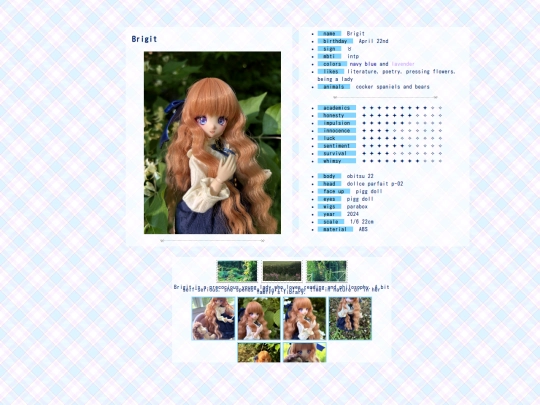 brigit screenshot
