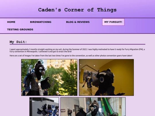 my-fursuit-making screenshot