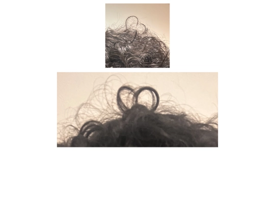 tendrils screenshot