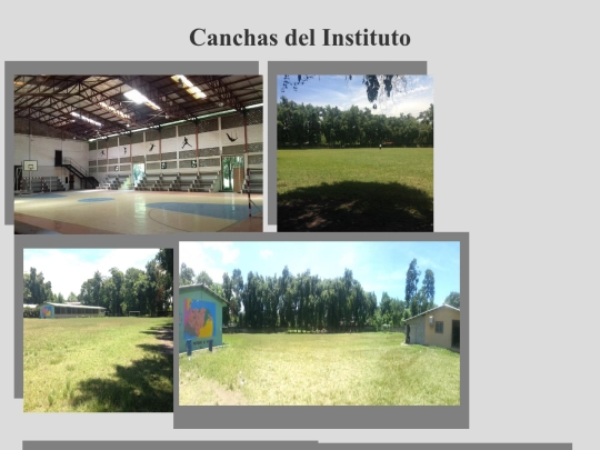 canchas screenshot