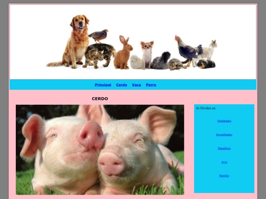 Cerdo screenshot