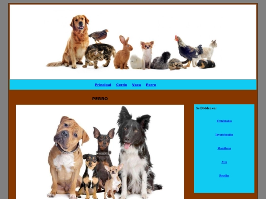 Perro screenshot