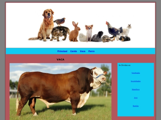 Vaca screenshot
