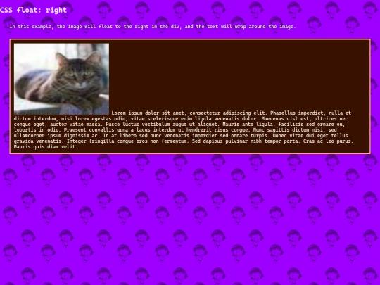 test999 screenshot