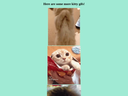 Kittygifs screenshot