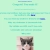 This is the Lemonadecat website! avatar