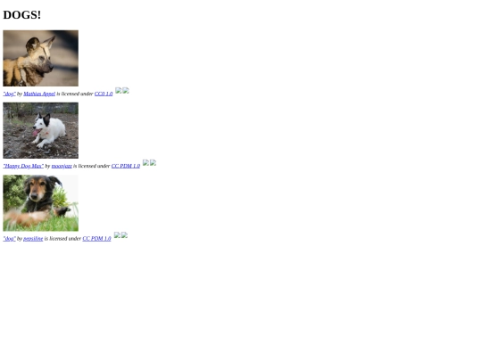 index screenshot