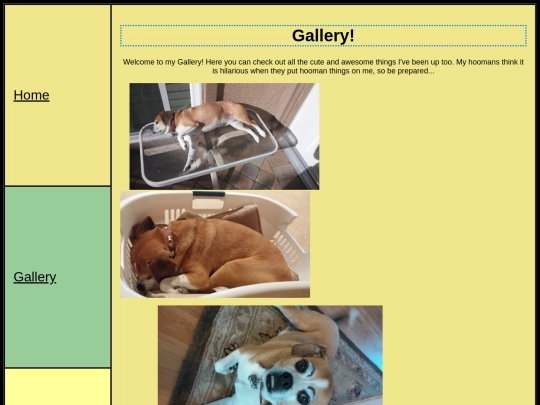 Final+Project/gallery screenshot